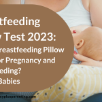 Breastfeeding Pillow Test 2023: Which Breastfeeding Pillow is Best for Pregnancy and Breastfeeding?