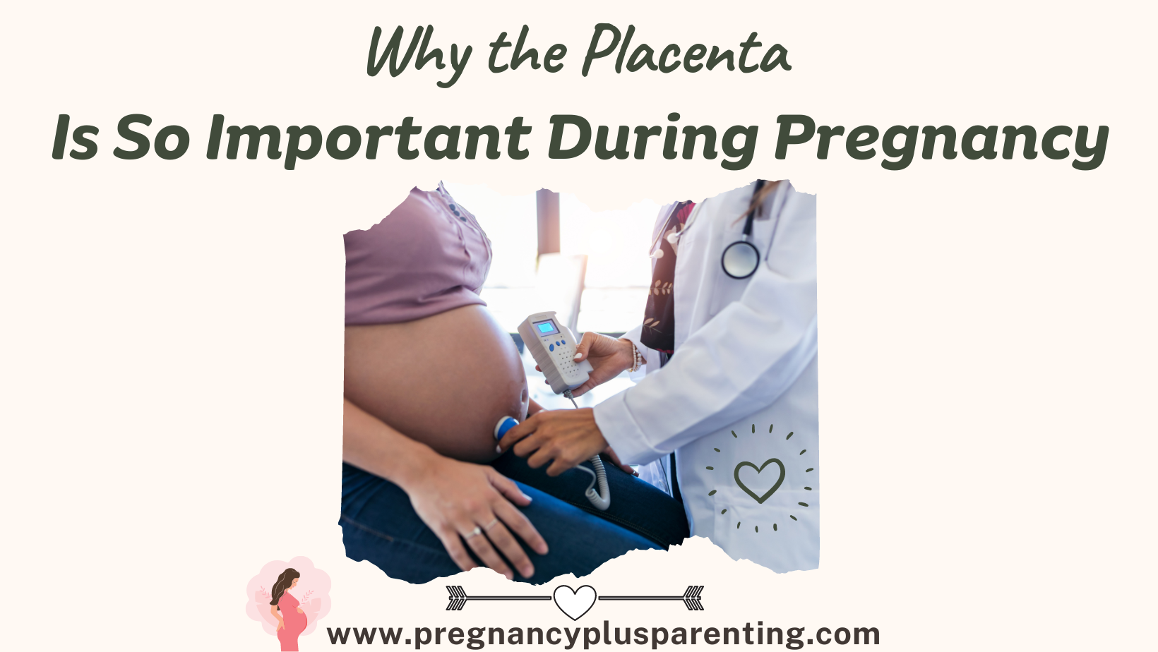 Why the Placenta is So Important During Pregnancy