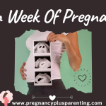 4th Week Of Pregnancy