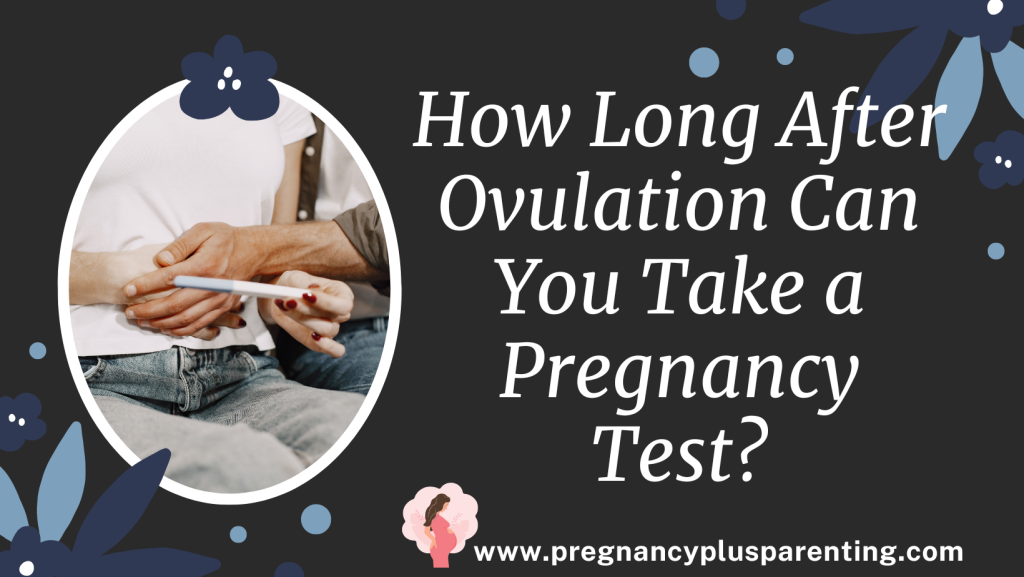 How Long After Ovulation Can You Take a Pregnancy Test?