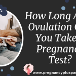 How Long After Ovulation Can You Take a Pregnancy Test?
