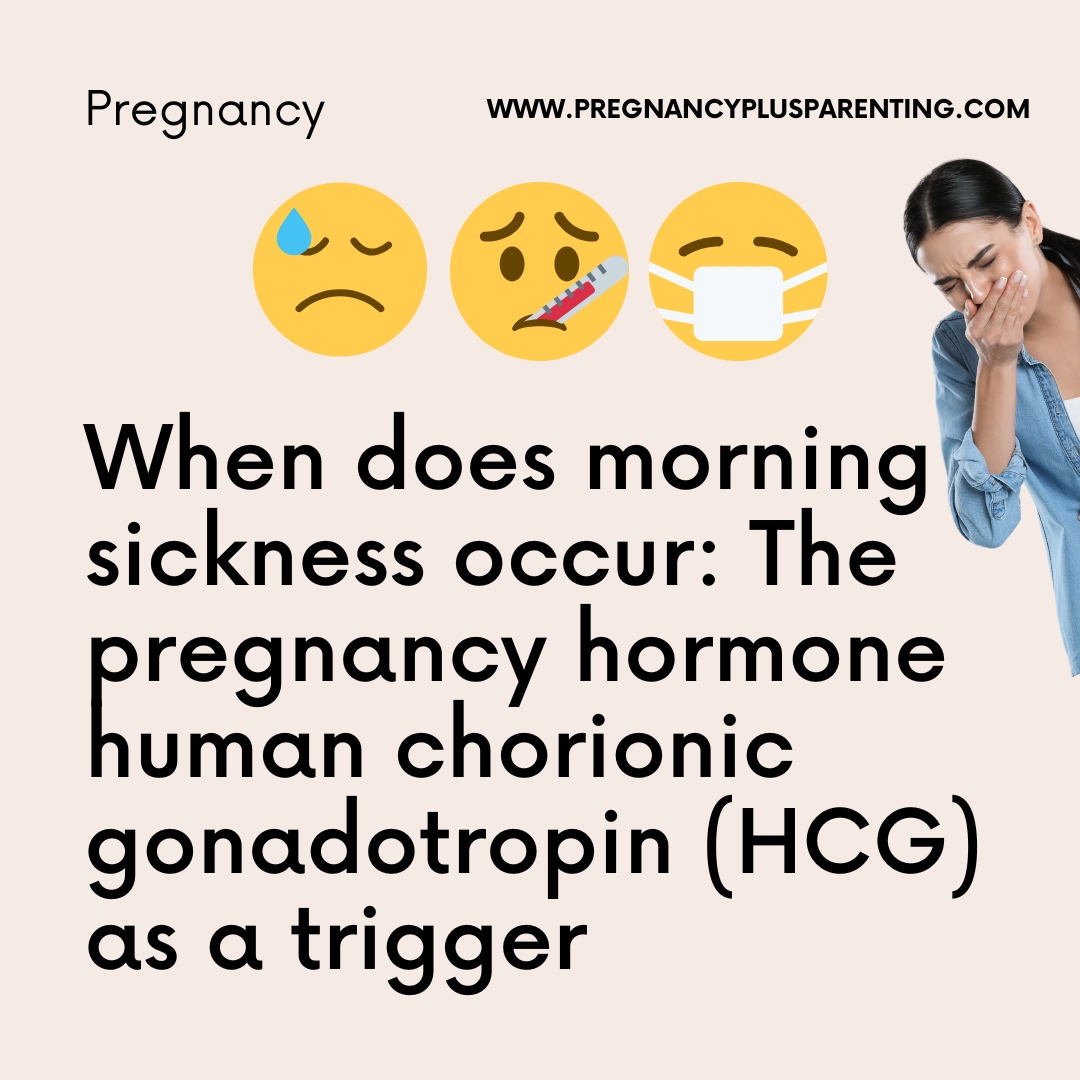 Why Am I So Sick? The Science Behind Morning Sickness + Fixes