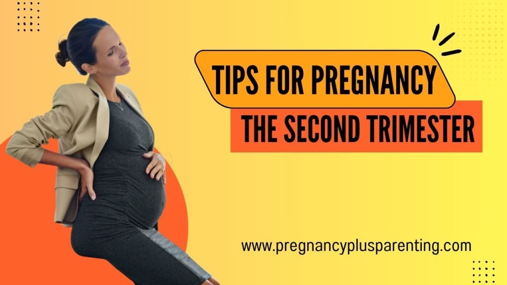 Tips For Pregnancy – The Second Trimester
