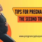 Tips For Pregnancy – The Second Trimester