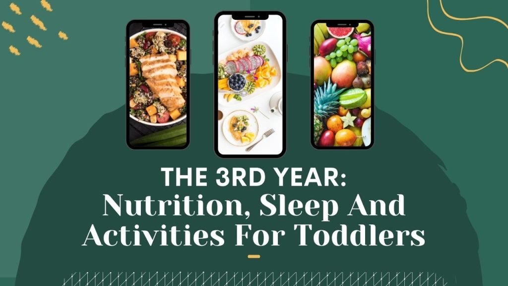 The 3rd Year: Nutrition, Sleep And Activities For Toddlers