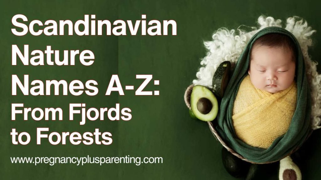 Scandinavian Nature Names A-Z: From Fjords to Forests