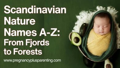 Scandinavian Nature Names A-Z: From Fjords to Forests