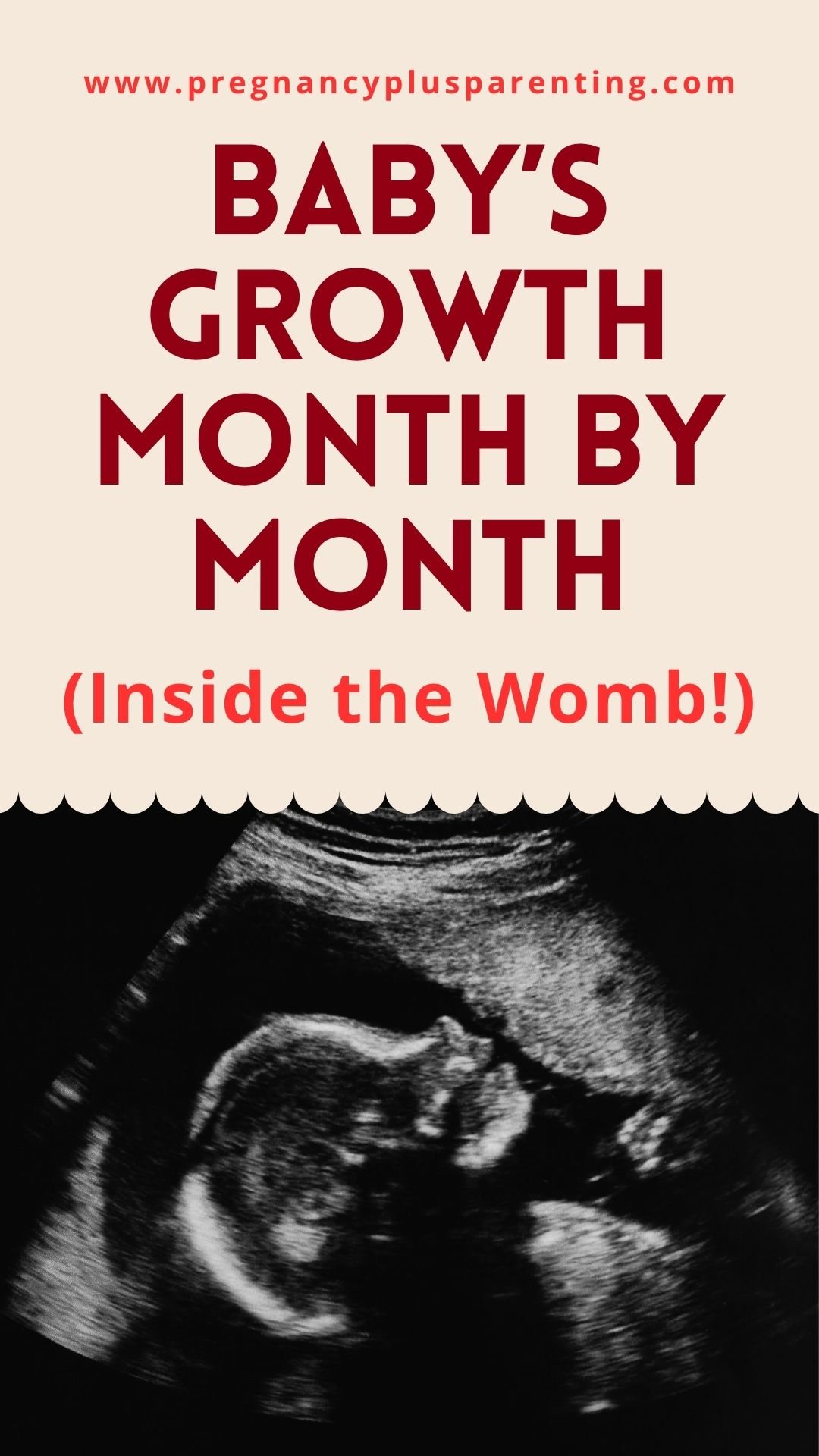 Your Baby’s Growth Month by Month: Amazing Changes Inside the Womb