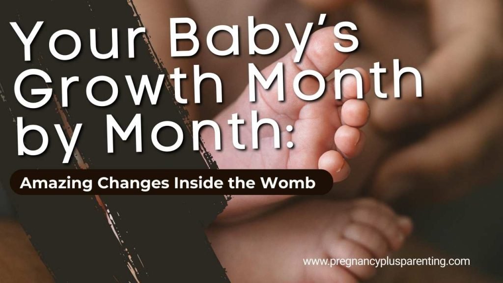 Your Baby’s Growth Month by Month: Amazing Changes Inside the Womb