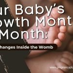 Your Baby’s Growth Month by Month: Amazing Changes Inside the Womb