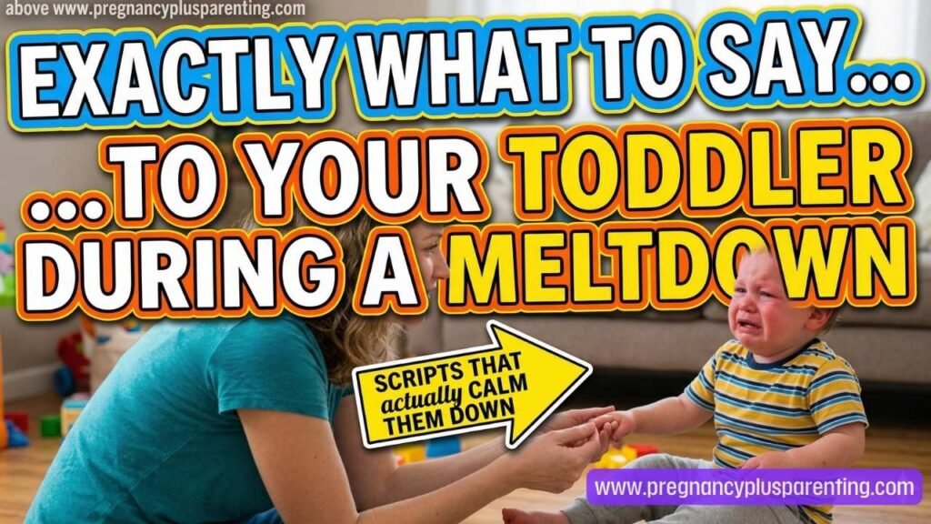 Exactly What to Say to Your Toddler During a Meltdown (Scripts That Actually Calm Them Down)