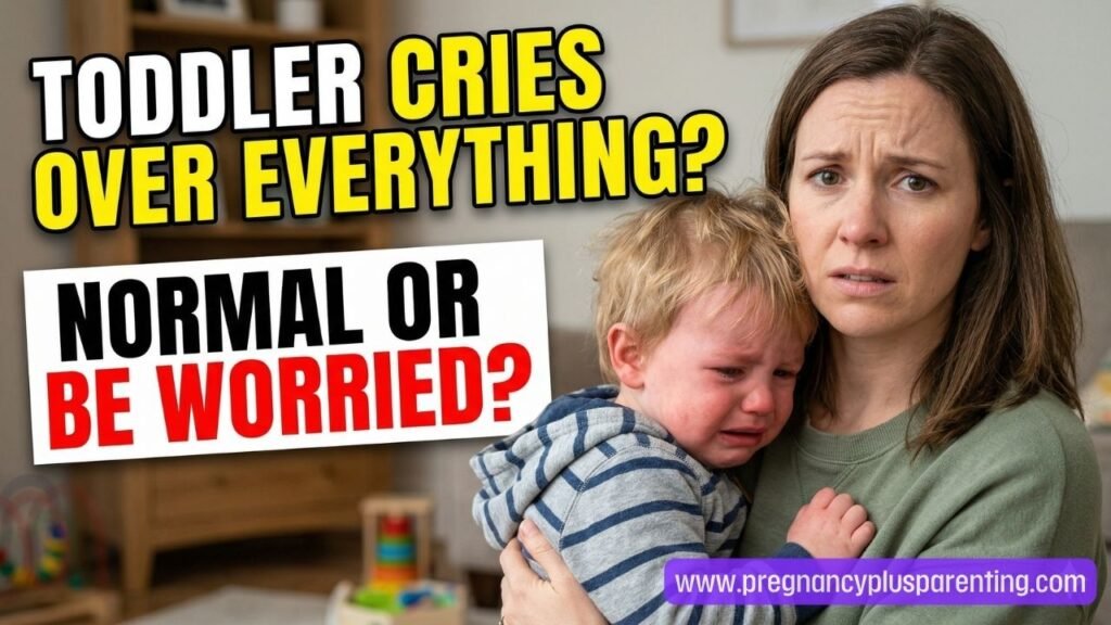 My Toddler Cries Over Everything Is This Normal or Should I Be Worried?