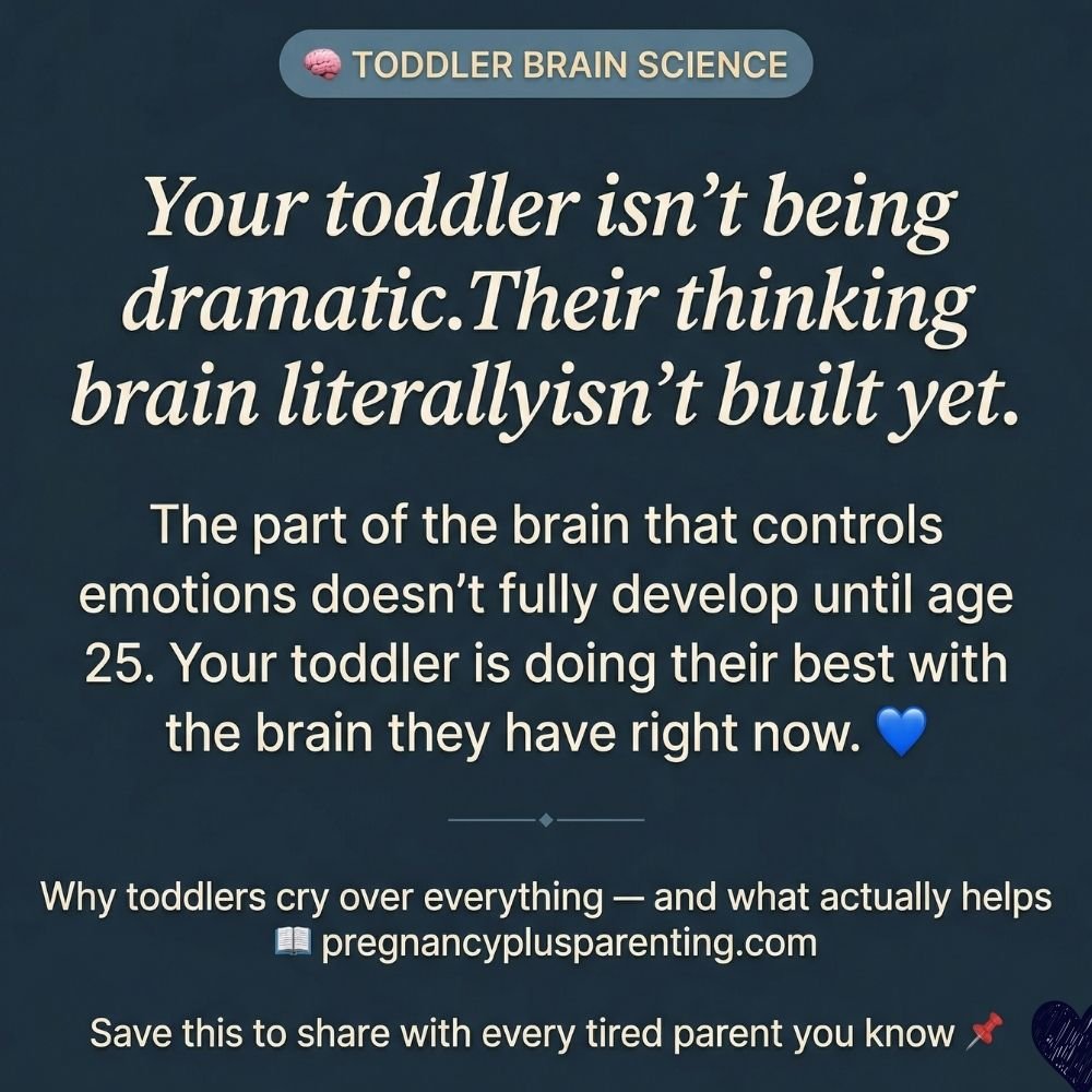 My Toddler Cries Over Everything Is This Normal or Should I Be Worried?