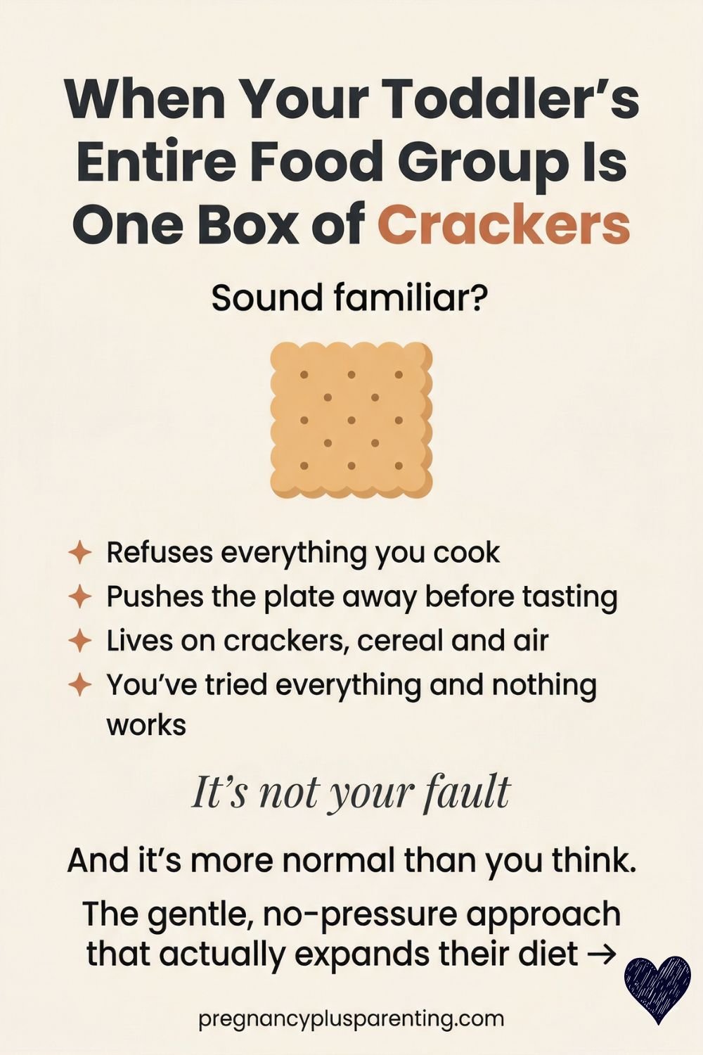 Why Won't My 2 Year Old Eat Anything But Crackers? (And How to Gently Expand Their Diet)