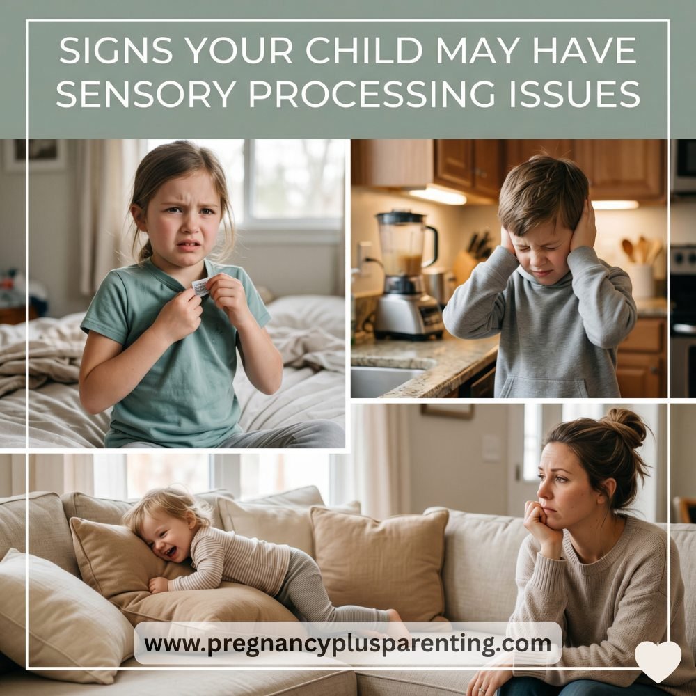 Signs of Sensory Processing Issues in Toddlers What Parents Often Miss and What to Do Next